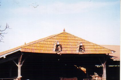 Pigeonnier toiture- Basset- 1997.jpg (21200 octets)