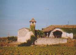 Pigeonnier tour- Roux- plus prs- 1994.jpg (5227 octets)